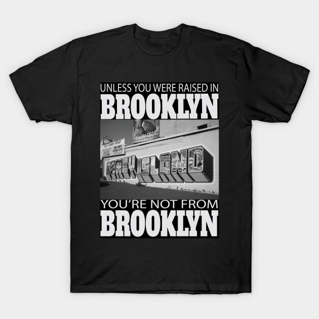 Unless You Were Raised In BROOKLYN You're Not From BROOKLYN T-Shirt by Envision Styles